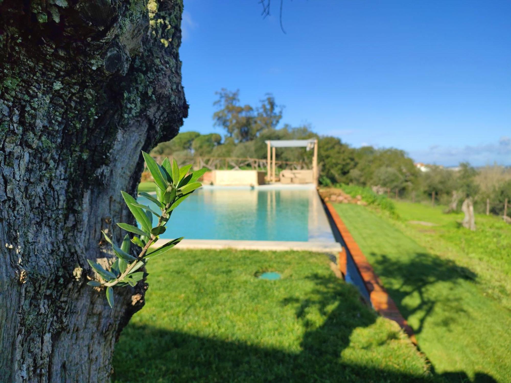 Вилла Quinta De Matrena Macieiros Экстерьер фото